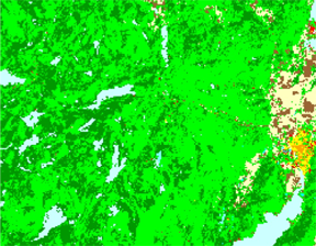 Land Cover Map